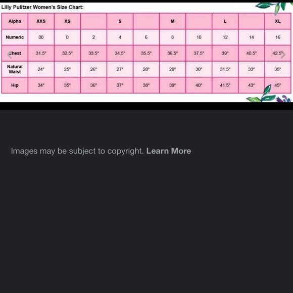 NWT Lilly Pulitzer Rivera Smocked Top in Boca Blue Sea What I See size Large - Picture 8 of 8